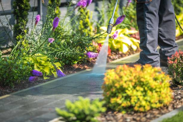 Best Pool Deck Cleaning  in Byron, MN